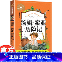 汤姆·索亚历险记 [正版]汤姆索亚历险记马克吐温著彩图小学生课外阅读书籍一二年级三年级必读儿童读物6-7-8-9-10岁