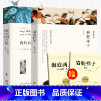 海底两万里+骆驼祥子[全套2册考点] [正版]2册初中版无删减七年级下册必读海底两万里骆驼祥子全译老舍完整版初中生七