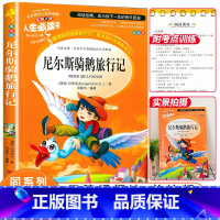 [正版]尼尔斯骑鹅旅行记原著完整版小学生三四五六年级下册必读课外阅读书籍彩图绘本老师9-10-12岁青少年版儿童文学书