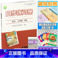 同步练习册 七年级下册 语文 七年级/初中一年级 [正版]2022年春新版 配人教版 初一1下学期同步练习册 语文 七年