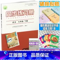 同步练习册 七年级下册 语文 七年级/初中一年级 [正版]2022年春新版 配人教版 初一1下学期同步练习册 语文 七年