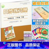 同步练习册 八年级下册 中国历史 八年级/初中二年级 [正版]2022年春新版 配人教版 初二2下学期同步练习册 中国历