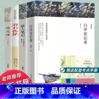 镜花缘+湘行散记+猎人笔记+白洋淀纪事[全套4册考点] [正版]赠考点七年级必读无删减全套4册白洋淀纪事孙犁猎人笔记