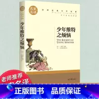 世界经典 文学名著[少年维特之烦恼] [正版]少年维特之烦恼三四五六年级必读书目名家名译原著无删减世界经典文学名著初中生