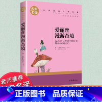 世界经典 文学名著[爱丽丝漫游奇境] [正版]爱丽丝漫游奇境记原著书籍三六年级下册必读课外书教师名家名译世界经典文学名著