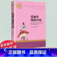 世界经典 文学名著[爱丽丝漫游奇境] [正版]爱丽丝漫游奇境记原著书籍三六年级下册必读课外书教师名家名译世界经典文学名著