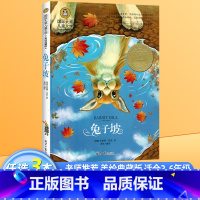 兔子坡 [正版]兔子坡国际大奖儿童文学美绘典藏版罗伯特罗素原著完整版经典名著儿童故事书必小学生二三四五六年级课外书阅读寒