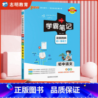 语文(人教版) 初中通用 [正版]2025新版 学霸笔记初中语文全彩通用 初中语文基础知识大全手册知识清单pass绿卡图