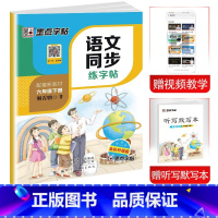 六年级下册 小学通用 [正版]字帖语文同步练字帖写字同步练习册 一二三四五六年级上下册正楷小学生人教版描红临摹荆霄鹏硬笔