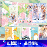 跃入夏天 [正版]即得双签版(亲签+印特签)跃入夏天 作者今轲 一米九体育生郑希羽×一米五五学姐唐天湉 双女主校园小