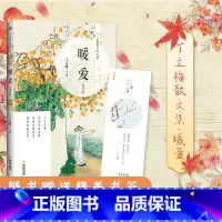 [正版]赠书签 暖爱修订本 丁立梅 部分文章被设计为中高考阅读理解题 老师图书暖爱丁立梅精品十年精选集之一金城出版社