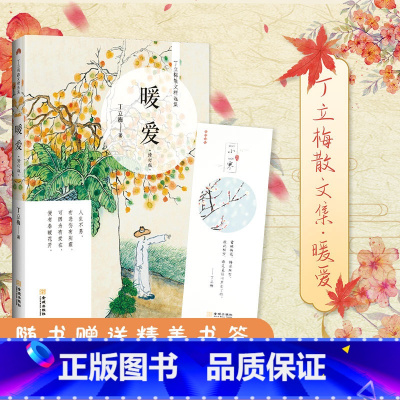 [正版]赠书签 暖爱修订本 丁立梅 部分文章被设计为中高考阅读理解题 老师图书暖爱丁立梅精品十年精选集之一金城出版社