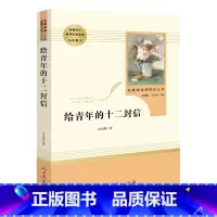 给青年的十二封信 [正版]赠知识手册 给青年的十二封信 朱光潜 八年级下册 人教版 人民教育出版社 初中学生无删减完