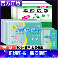 [2025版]高考一模卷 试卷+答案 [语/数/英/物/化]共10册 上海 [正版]2025年上海高考一模卷英语数学语文