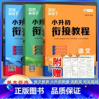 小升初衔接教程语文+数学+英语 小学升初中 [正版]培优新帮手小升初毕业考试文言文阅读考试真题集训小学生升初中语文文言文