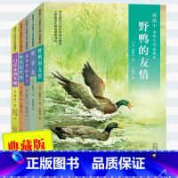 椋鸠十动物小说 第6-10册 [正版]椋鸠十动物小说全集爱藏本全套10册野鸭的友情孤岛野犬野性的呼唤6-12岁小学生三四