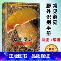 [正版]常见蘑菇野外识别手册 好奇心书系 蘑菇分辨手册 户外探险b备书籍、荒野求生、郊游书籍 可食用和不可食用蘑