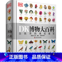 DK博物大百科 [正版]DK军事历史大百科全书少儿武器装备战役战争世界军事历史科普书书籍博物馆士兵训练武器书科普百科14