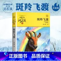 斑羚飞渡 [正版] 斑羚飞渡 动物小说大王沈石溪品藏书系狼王梦青少年课外书8-10-12-15周岁四五六年级小学生课外阅