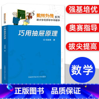 巧用抽屉原理 高中通用 [正版]数林外传系列丛书 跟大学名师学中学数学张景中常庚哲单墫苏淳冯跃峰 解析几何的技巧函数统计