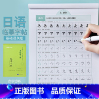 [全3册]基础通关册+乐学词汇册+连句成篇册 [正版]中公版 教你写一手标准日语 基础通关册 临摹字帖 日本公共日语字帖