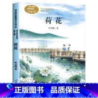 荷花 叶圣陶 [正版]猫 老舍的书 美冠纯美阅读书系 呼兰河萧红经典彩绘本小学生课外阅读书籍四五年级课外书读三至六年级