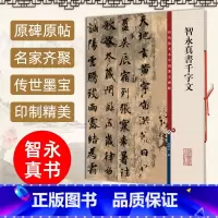 (彩色放大本)智永草书千字文 [正版] 智永真书千字文 8开高清彩色放大本 中国著名碑帖 孙宝文繁体旁注 楷书毛笔书法字