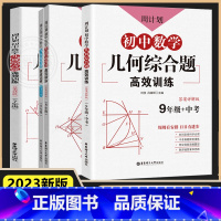 [3本套]初中数学几何综合题 七八九年级 初中通用 [正版]初中数学几何综合题高效训练 七八九年级789年级上下册刷代数