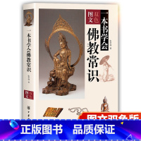 [正版]中华书局 一本书学会佛教常识图文双色 张培锋著 佛教基本知识 佛学入门 佛教基础知识 了解佛教文化入门书籍