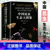 中国昆虫生态大图鉴 第2版 [正版]中国昆虫生态大图鉴 第2版 精装收藏书籍 动物世界书籍 物种百科全书昆虫类研究图鉴书