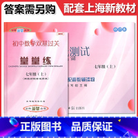 数学单元测试 堂堂练 七年级上 [正版]2024-2025年新版数学单元测试堂堂练7年级上/七年级上册 第一学期 数学单
