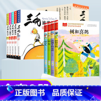 金波四季美文+三毛流浪记全集 [正版]金波四季童话美文注音版全套4册 雨点儿 阳光 树和喜鹊 沙滩上的童话 一年级阅读课