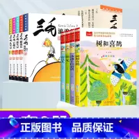 金波四季美文+三毛流浪记全集 [正版]金波四季童话美文注音版全套4册 雨点儿 阳光 树和喜鹊 沙滩上的童话 一年级阅读课
