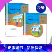 [全2本]数学 三年级 上下册 小学通用 [正版]2025可选人教社小学数学教师用书1 2 3 4 5 6年级上下册人教