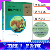 [2024年印刷]教师用书 生物学 八年级上 [正版]2024新教师用书生物学8年级上册人教版初二八年级生物上教学参考人