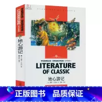 [正版]地心游记 中小学生语文学生世界经典文学名著 名师精读版知识考点 中外青少年儿童文学小说 学生课外读物