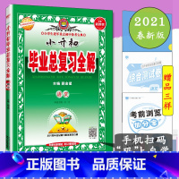 [正版]小升初毕业总复习全解语文全国通用小学语文升学专项训练练习册小升初模拟卷小学生六年级下册小学语文升学总复习模拟测