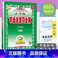 [正版]小升初毕业总复习全解语文全国通用小学语文升学专项训练练习册小升初模拟卷小学生六年级下册小学语文升学总复习模拟测