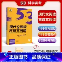 现代文阅读+古诗文阅读 九年级 [正版]曲一线2025版5.3初中语文古诗文阅读+现代文阅读9九年级+中考全国版5年中考