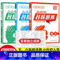 语数英3本 小学升初中 [正版]2024四川小升初名校题库语文数学英语人教版五六年级小升初走进名校招生入学分班卷四川省各