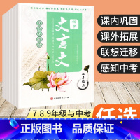 文言文 九年级/初中三年级 [正版]2023版初中文言文阅读与训练七八九年级上册下册中考语文文言文全解一本通初中古诗词和