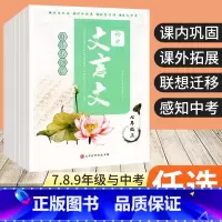 文言文 九年级/初中三年级 [正版]2023版初中文言文阅读与训练七八九年级上册下册中考语文文言文全解一本通初中古诗词和
