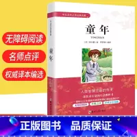童年(4-6年级) [正版]童年名人传昆虫记小王子呼兰河传伊索寓言骆驼祥子海底两万里朝花夕拾简爱钢铁是怎样炼成的鲁滨孙漂