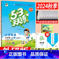 英语 小学三年级 [正版]2024秋季53天天练三年级上册英语外研版WY版(三年级起点)小儿郎五三天天练小学3三年级上册
