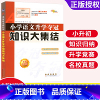 [正版]小学语文升学夺冠知识大集结 五六年级毕业升学总复习小考辅导资料书68所名校小升初知识大集结语文专项训练小学重点