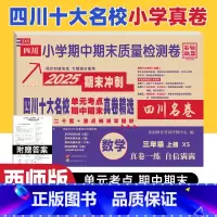 数学 西师版 三年级上 [正版]四川十大名校真卷精选三年级上册期末测试卷数学西师版XS 达州自贡泸州市重点名校小学3年级