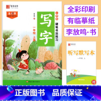 一年级上册 [正版]2024版小学生硬笔书法练习一二三四五六年级上下册练字帖语文同步字帖人教版李放鸣楷书写字课课练铅笔钢