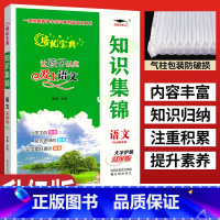 [正版]培优宝典小学语文知识集锦升级版 让孩子从此爱上语文基础知识手册小考小升初总复习资料 小学四五六年级重点知识集锦