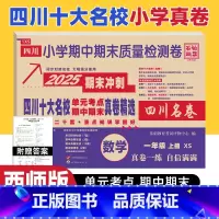 数学 西师版 一年级上 [正版]四川十大名校真卷一年级上册期末测试卷数学西师版XS版 达州自贡泸州市重点名校小学一年级上