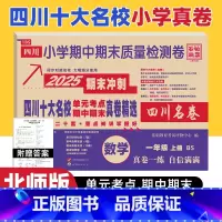 数学 北师大版 一年级上 [正版]四川十大名校真卷一年级上册期末总复习数学北师大版BS 成都市重点名校小学一年级上期末冲